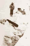 Navarra legno Raffael.JPG (11498 byte)