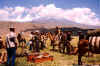 SEARCH1969-1.jpg (77917 byte)