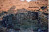 Eli6.jpg (259393 byte)