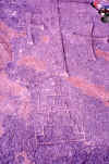 Old Armenian Symbol in Ardzap (2).jpg (114992 byte)